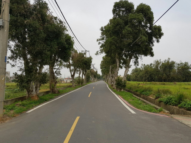 觀音椰林大道美田,桃園市觀音區新坡段